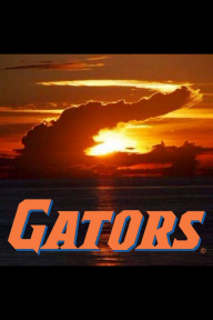 bmfgator