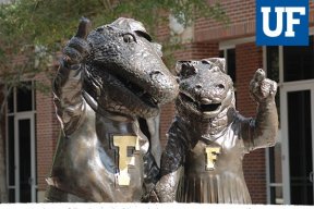 bszgator