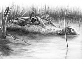 laniergator