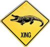 GatorXing