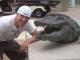 IndyGator09