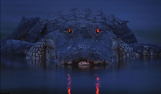 Swampgator75