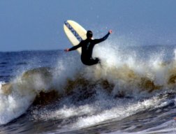 SurfGator