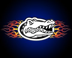 sonnygator
