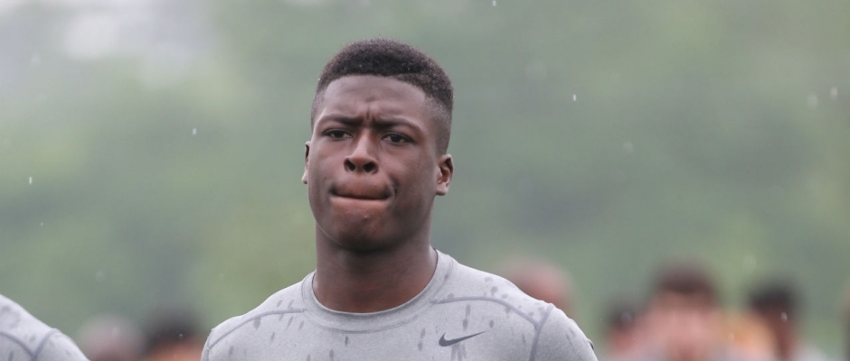 Spivey Senses Spring Evaluation Edition