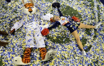 What Shrodinger's Tigers can teach the Florida Gators & their fans