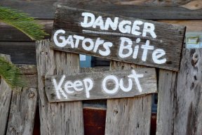 scgator_8586