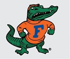GulfBreezeGator