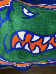 bowierngator