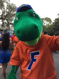 always4gators