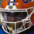 gatorsinparadise