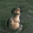 bmfgator