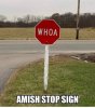 FB_IMG_1693681700716.jpg