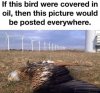 FB_IMG_1695965775476.jpg