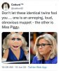 FB_IMG_1704503832627.jpg