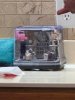 IMG_6615.jpeg