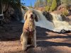 Angel at GB falls.jpg
