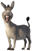 upload_2025-5-9_22-1-43.png