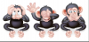 Screenshot_20250511-180857~2.png