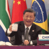 upload_2025-6-1_8-17-38.gif