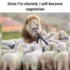 IMG_1376.jpeg