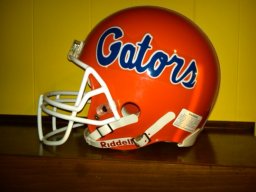 alegator49
