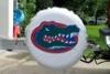 GatorInPISound