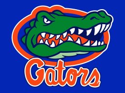 619_Gator