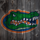 swamp_chomp1789