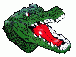 gatorvnc