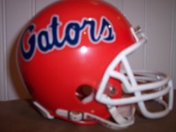gatorrayii
