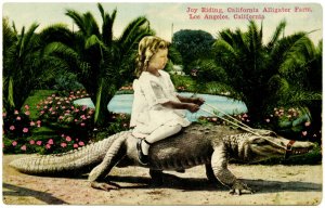 GatorRider