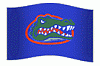 Gator_Tom66