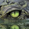 wiskgator71