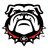 ugahairydawgs