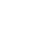 nobog