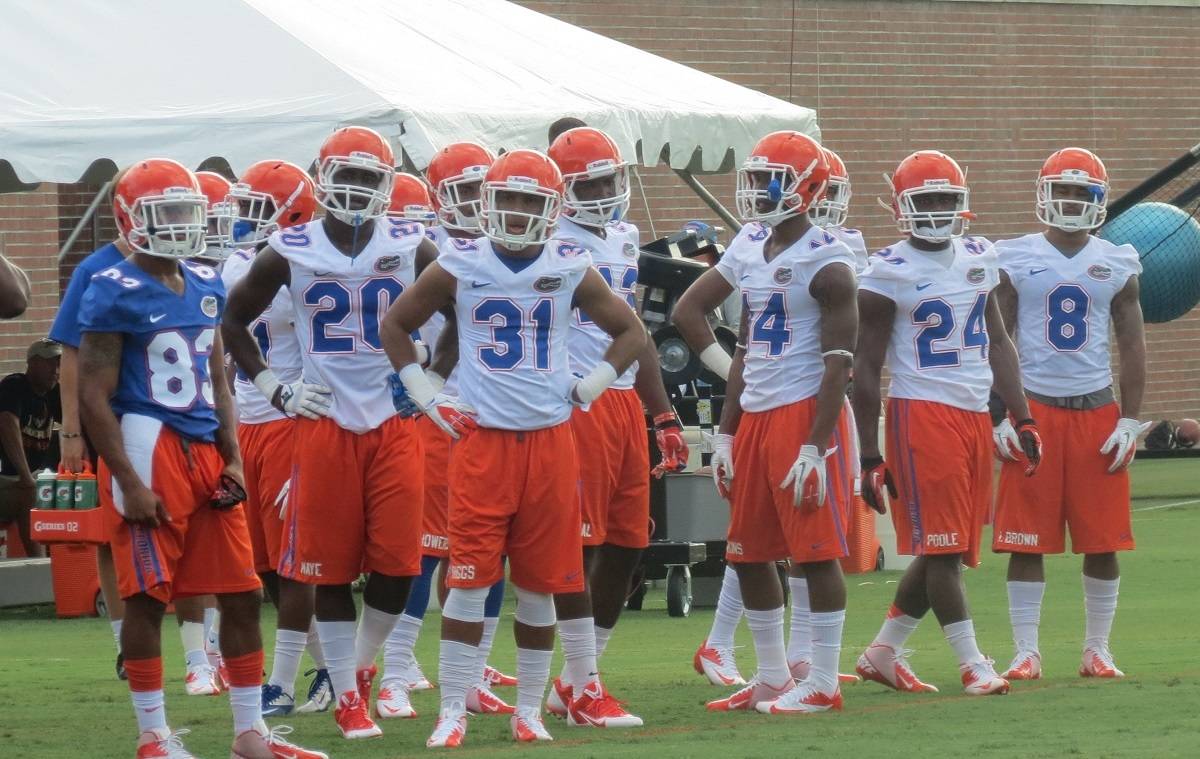 Three Most Important Statistics for 2013  GatorCountry.com