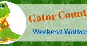 Things to do in Gainesville, Florida GC Weekend Walkabout Labor Day 2014