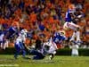 Ben Hill Griffin Stadium, Gainesville, Floirda