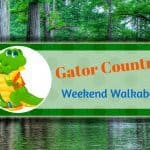 Things to do in Gainesville, Fl