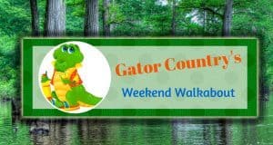 GC’s Weekend Walkabout: Florida vs Eastern Michigan Things to do in Gainesville, Fl