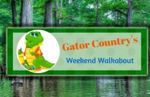 Things to do in Gainesville, Fl
