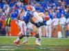 Ben Hill Griffin Stadium, Gainesville, Florida