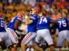 Ben Hill Griffin Stadium, Gainesville, FL