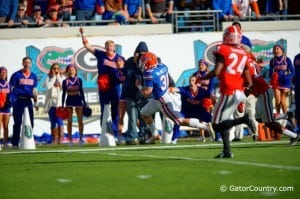 The Florida Gators behind 424 rushing yards upset the Georgia Bulldogs 38-20.  Florida Gators vs Georgia Bulldogs. November 1st, 2014. Gator Country photo by David Bowie.