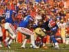 Bryan Cox Jr., Ben Hill Griffin Stadium, Gainesville, Florida