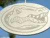 Sanders practice fields, Gainesville, Florida