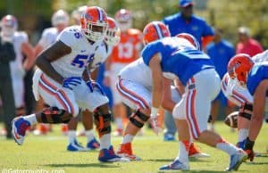 Rod Johnson, Ben Hill Griffim Stadium, Gainesville, Florida, University of Florida