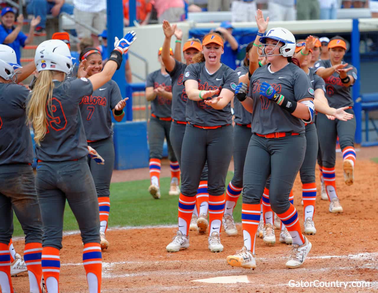 gator baseball pants