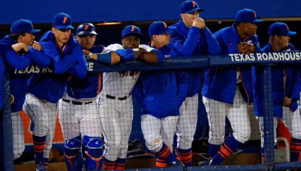 Florida Gators baseball, McKethan Stadium, Gainesville, Florida